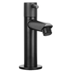 Differnz Fonteinkraan Recht Mat Zwart -Gamma Badkamer Winkel 123 1039