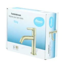 Atlantic Fonteinkraan Riley Met Hendel Messing -Gamma Badkamer Winkel 123 341