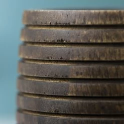 Sealskin Tandenborstelhouder Native Bruin -Gamma Badkamer Winkel 123 3814