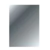 Haceka Spiegel Zilver Glas 4 Mm 30x120 Cm