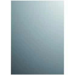 Plieger Basic Spiegel Zilver 70X55 Cm
