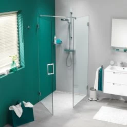 Sealskin Swingdeur Voor Douchewand I AM 200x100 Cm RVS -Gamma Badkamer Winkel 123 4848
