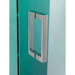 Sealskin Douchecabine Met Swingdeur I AM 100x200 Cm RVS -Gamma Badkamer Winkel 123 5647