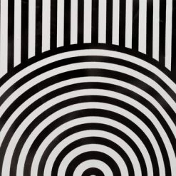 Sealskin Douchegordijn Brave 180x200cm Zwart/wit -Gamma Badkamer Winkel 123 6676