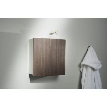 Haceka Mix&match kastdeur houtkleur 40x40 cm Haceka Mix&match Kastdeur Houtkleur 40x40 Cm -Gamma Badkamer Winkel 123 7345