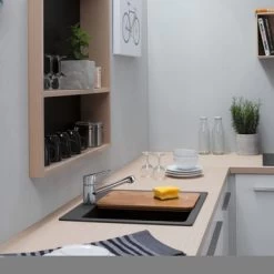 Hansgrohe Keukenkraan Focus M43 Met Hendel Chroom 100 -Gamma Badkamer Winkel 123 735