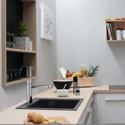 Hansgrohe Keukenkraan Focus M43 Met Hendel RVS 120 -Gamma Badkamer Winkel 123 775