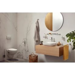 Haceka Toiletborstelhouder Aspen Hangend Chroom 4 Haceka Toiletborstelhouder Aspen Hangend Chroom -Gamma Badkamer Winkel 123 8040