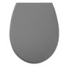 Tiger WC Bril Amadora Grijs Kunststof Met Softclose -Gamma Badkamer Winkel 123 8759